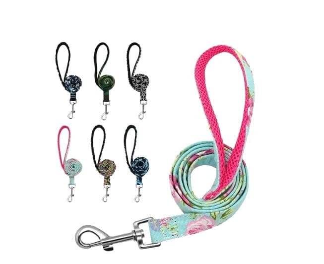 Large Breed Collar & Leash Set